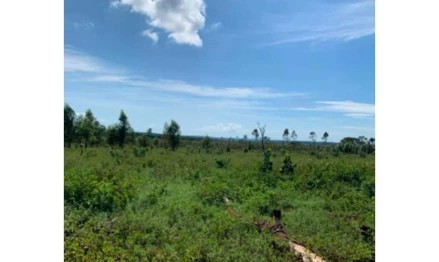 Imagem da oportunidade