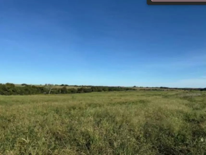 Imagem 7 - Fazenda Modelo Iii, 219 - Loteamento Araguacema 3ª Etapa - Zona Rural - Goianorte / TO