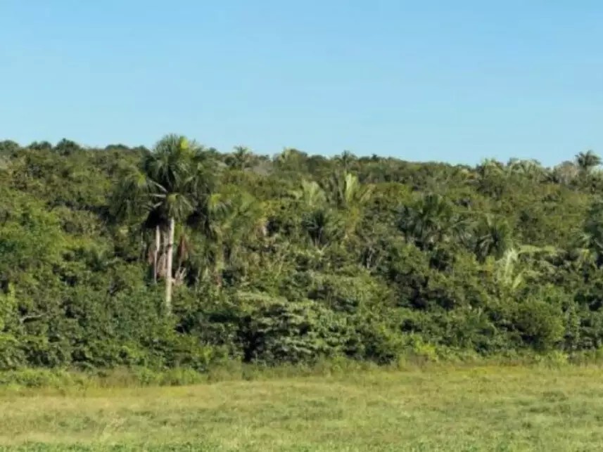 Imagem 8 - Fazenda Modelo Iii, 219 - Loteamento Araguacema 3ª Etapa - Zona Rural - Goianorte / TO