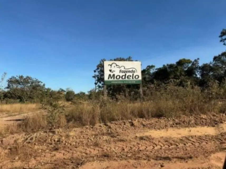 Imagem 9 - Fazenda Modelo Iii, 219 - Loteamento Araguacema 3ª Etapa - Zona Rural - Goianorte / TO