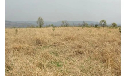 Imagem da oportunidade