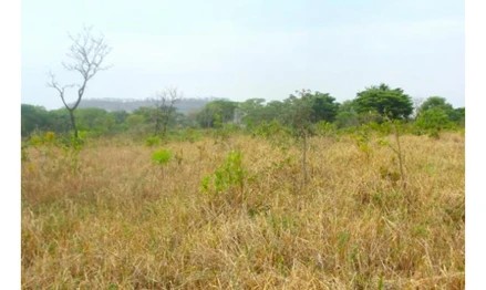 Imagem 3 - Fazenda Queiroz, Claraval