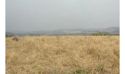 Imagem 5 - Fazenda Queiroz, Claraval