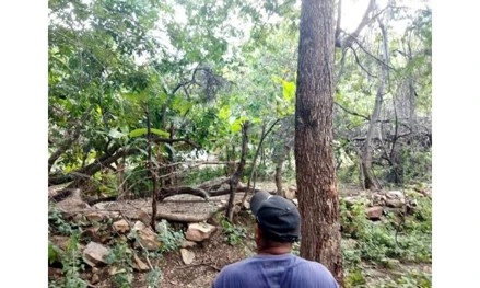 Imagem da oportunidade