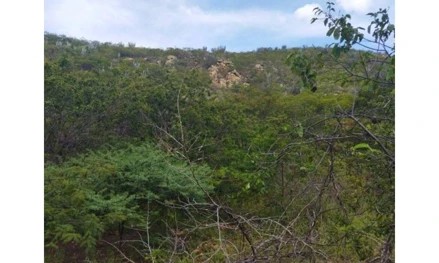 Imagem 2 - Fazenda Santana