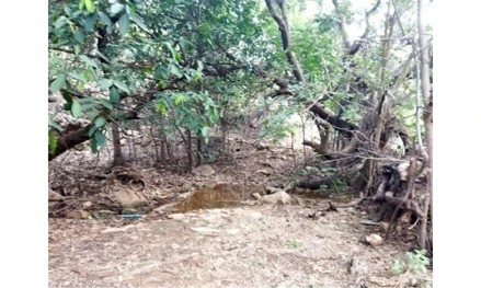 Imagem 4 - Fazenda Santana