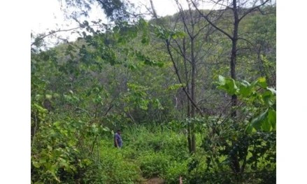 Imagem 5 - Fazenda Santana