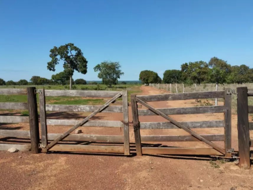 Imagem 2 - Fazenda São Benedito, 07 - Lote 07, Lot° Serrote - Zona Rural - Pugmil / TO