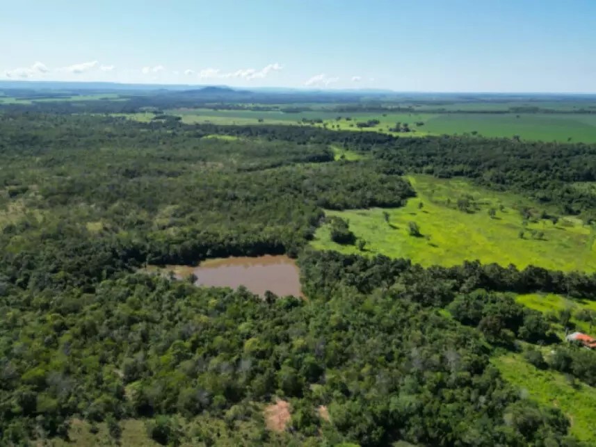 Imagem 3 - Fazenda São Benedito, 07 - Lote 07, Lot° Serrote - Zona Rural - Pugmil / TO