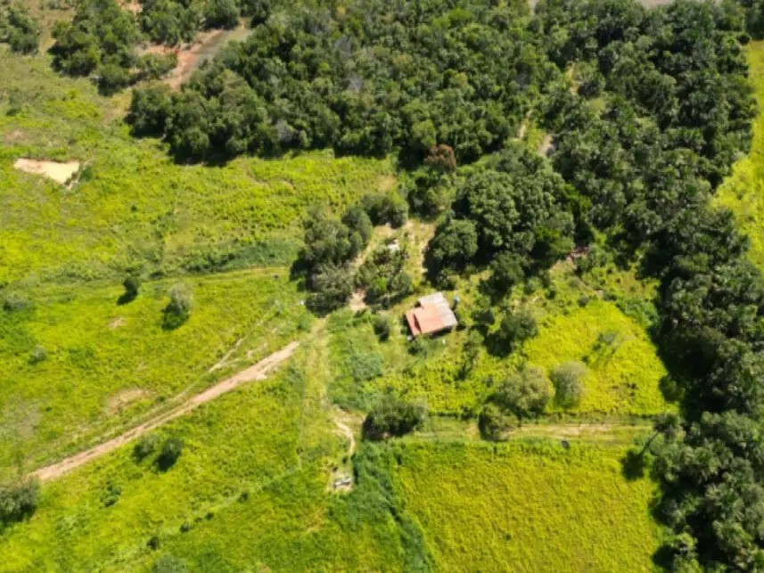 Imagem 4 - Fazenda São Benedito, 07 - Lote 07, Lot° Serrote - Zona Rural - Pugmil / TO