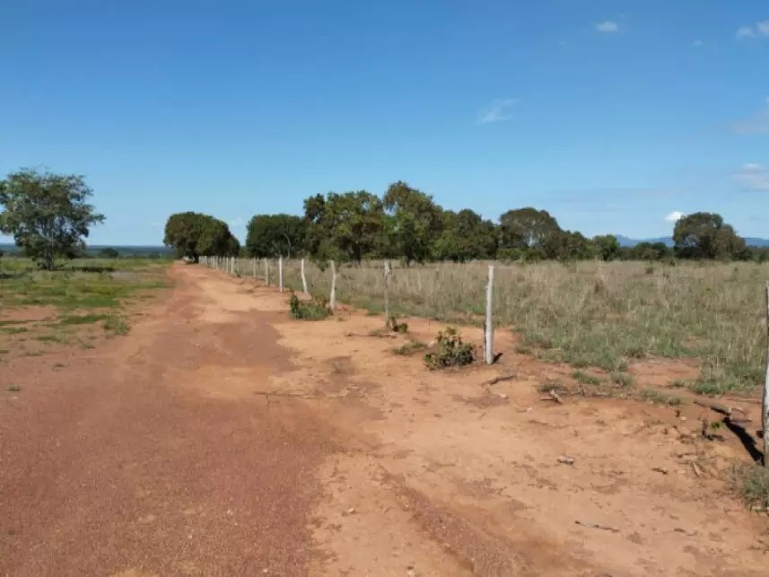 Imagem 6 - Fazenda São Benedito, 07 - Lote 07, Lot° Serrote - Zona Rural - Pugmil / TO
