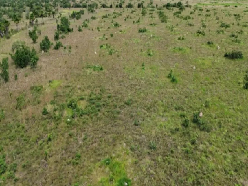 Imagem 3 - Fazenda Água Viva - Parte 1, s/nº - Zona Rural - São Félix do Araguaia / MT