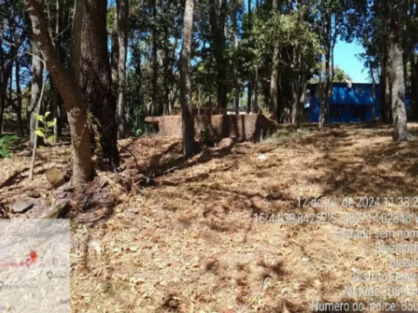 Imagem 28 - Gleba 3, Lote 355, do Projeto Integrado de Colonização Alexandre de Gusmão - Picag, 355 - Zona Rural - Brazlândia - Brasilia / DF