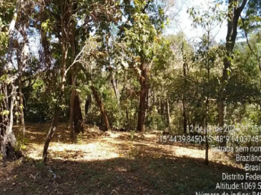 Imagem 29 - Gleba 3, Lote 355, do Projeto Integrado de Colonização Alexandre de Gusmão - Picag, 355 - Zona Rural - Brazlândia - Brasilia / DF