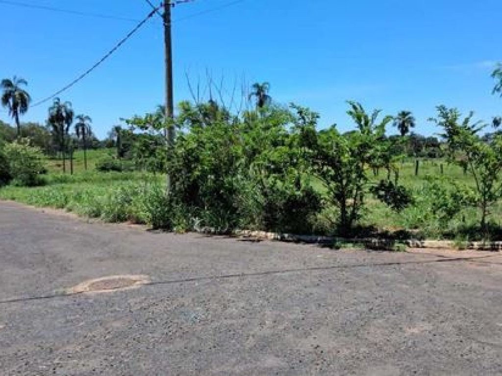 Imagem da oportunidade