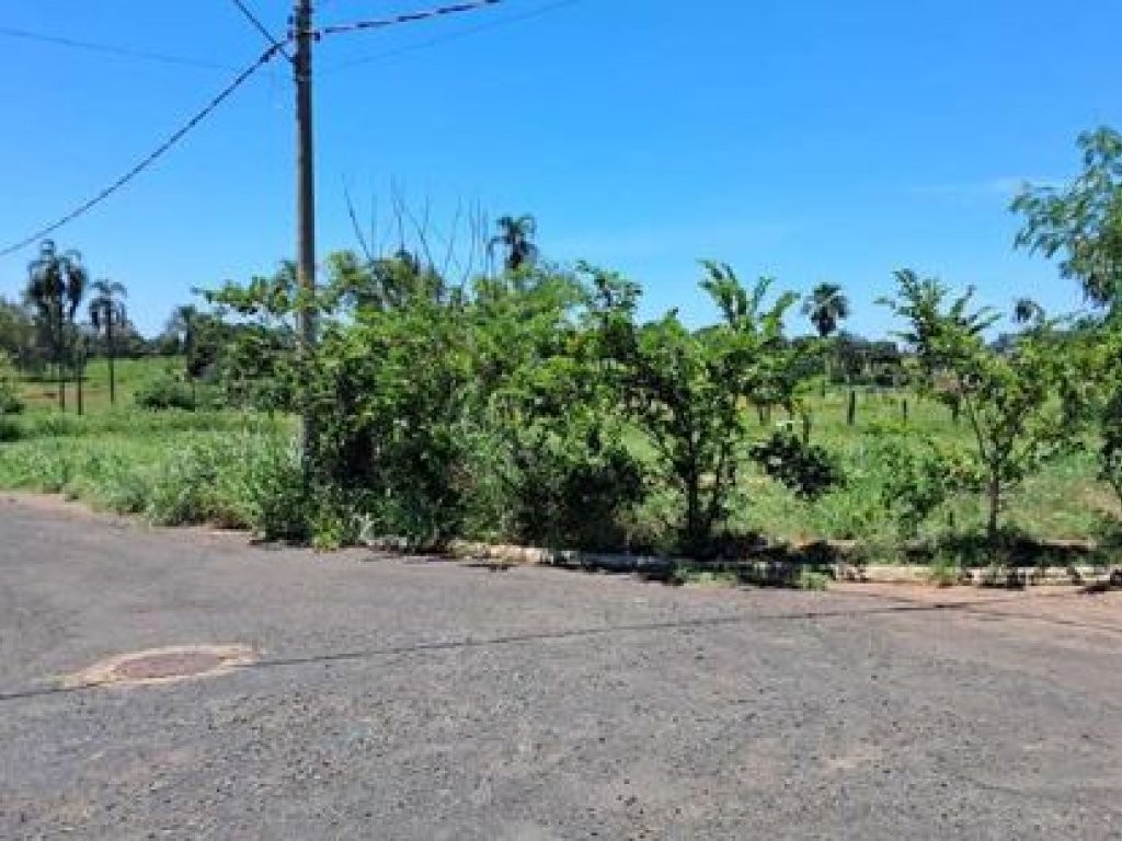Imagem 2 - Guarani d’Oeste, SP