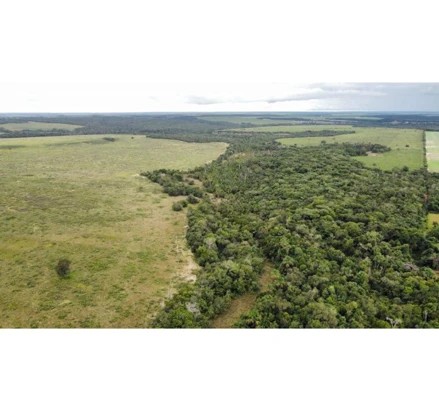 Imagem da oportunidade