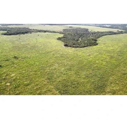 Imagem 2 - interior, s/nº