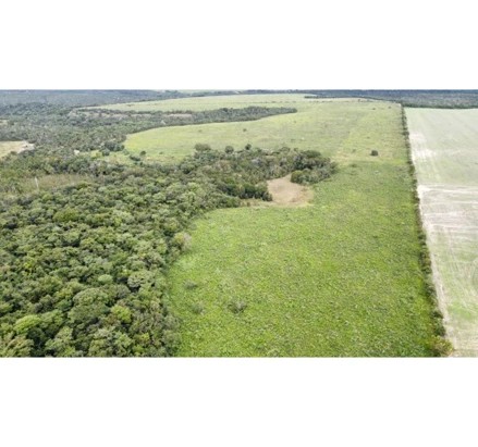 Imagem 4 - interior, s/nº