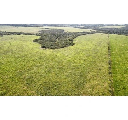 Imagem 5 - interior, s/nº