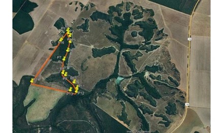 Imagem 6 - interior, s/nº