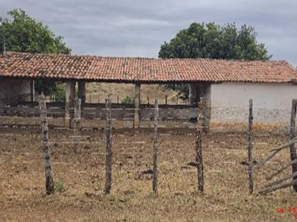 Imagem 3 - Ipaumirim, CE