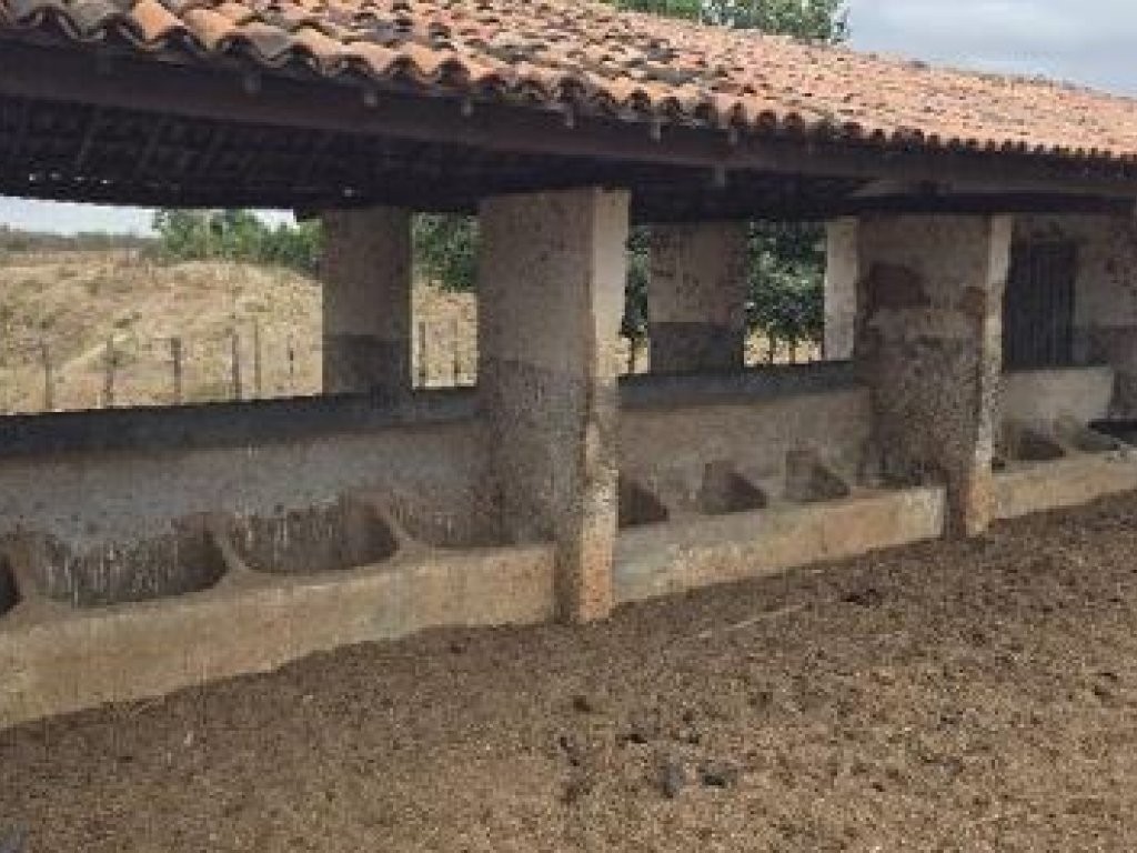 Imagem 4 - Ipaumirim, CE