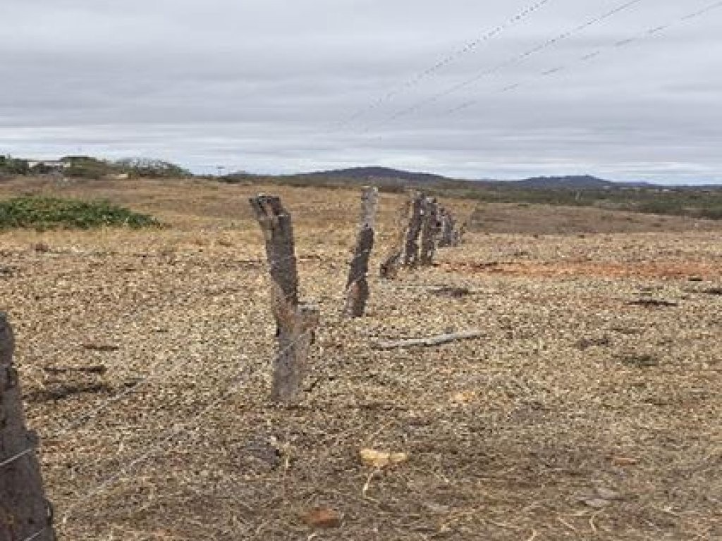 Imagem 5 - Ipaumirim, CE