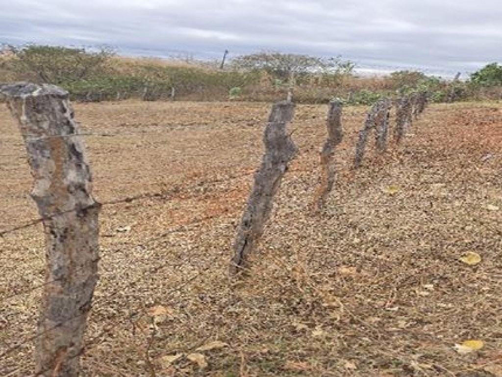 Imagem 8 - Ipaumirim, CE