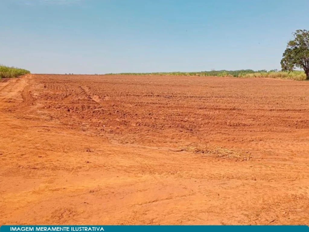 Imagem 2 - José Bonifácio, SP