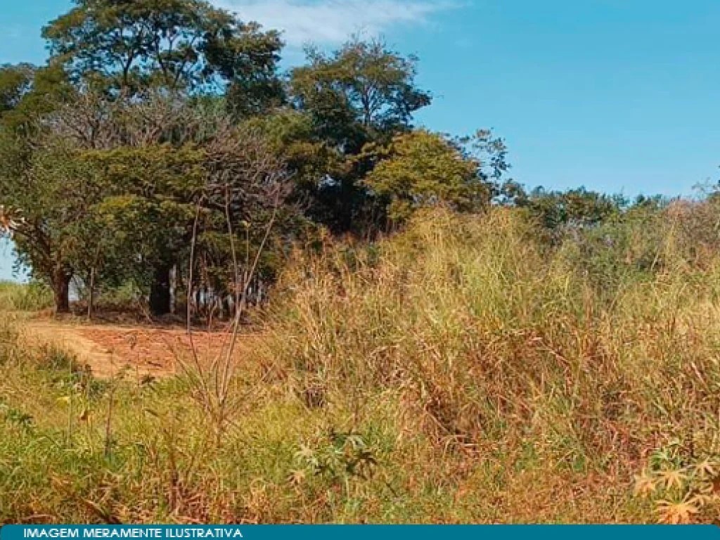 Imagem 4 - José Bonifácio, SP