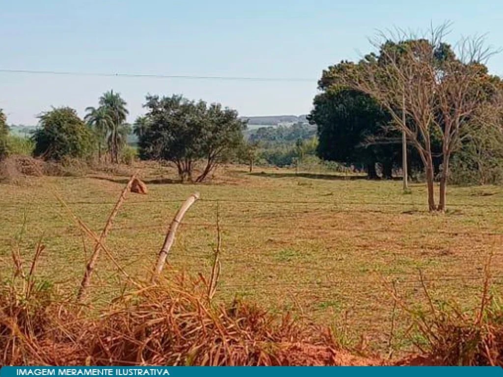 Imagem 5 - José Bonifácio, SP