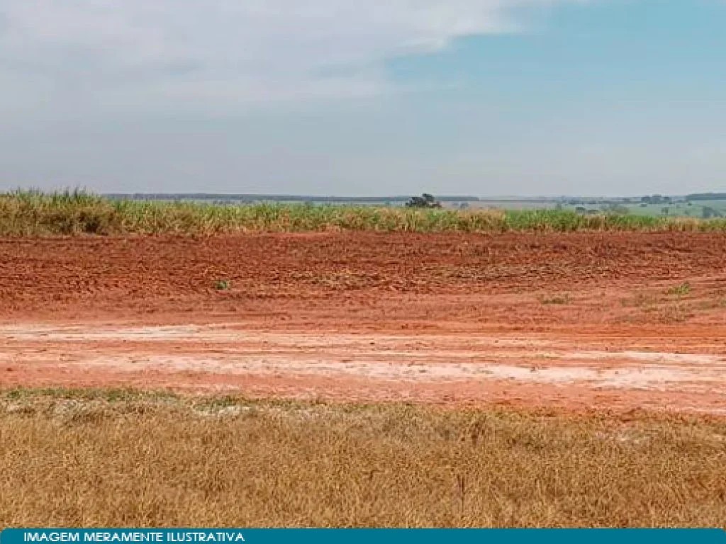 Imagem 6 - José Bonifácio, SP
