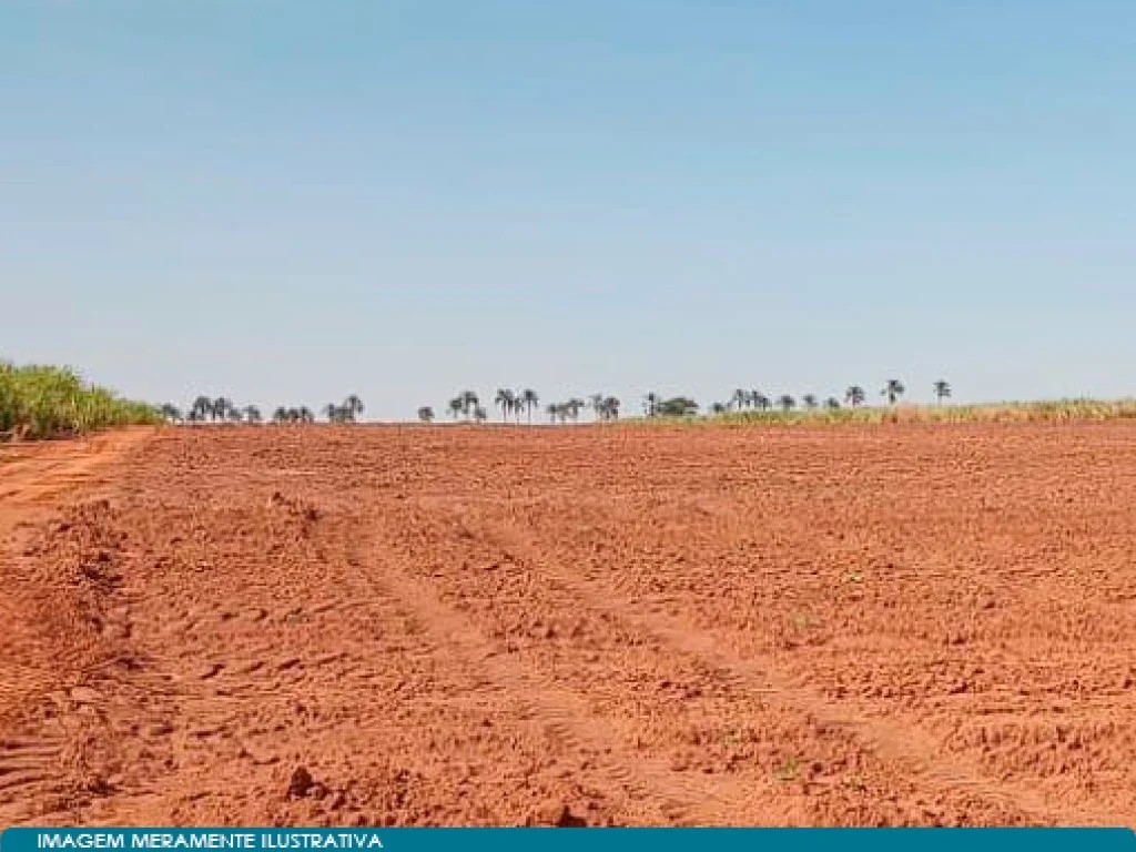 Imagem 7 - José Bonifácio, SP