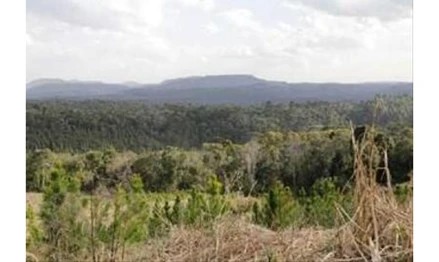 Imagem 2 - Linha Dona Ernestina