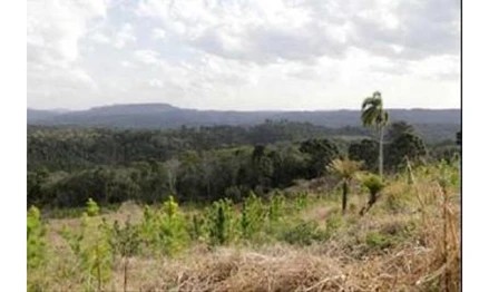 Imagem 3 - Linha Dona Ernestina