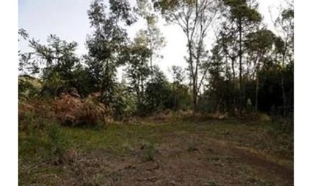 Imagem 6 - Linha Dona Ernestina