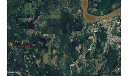 Imagem 10 - Linha Dona Ernestina