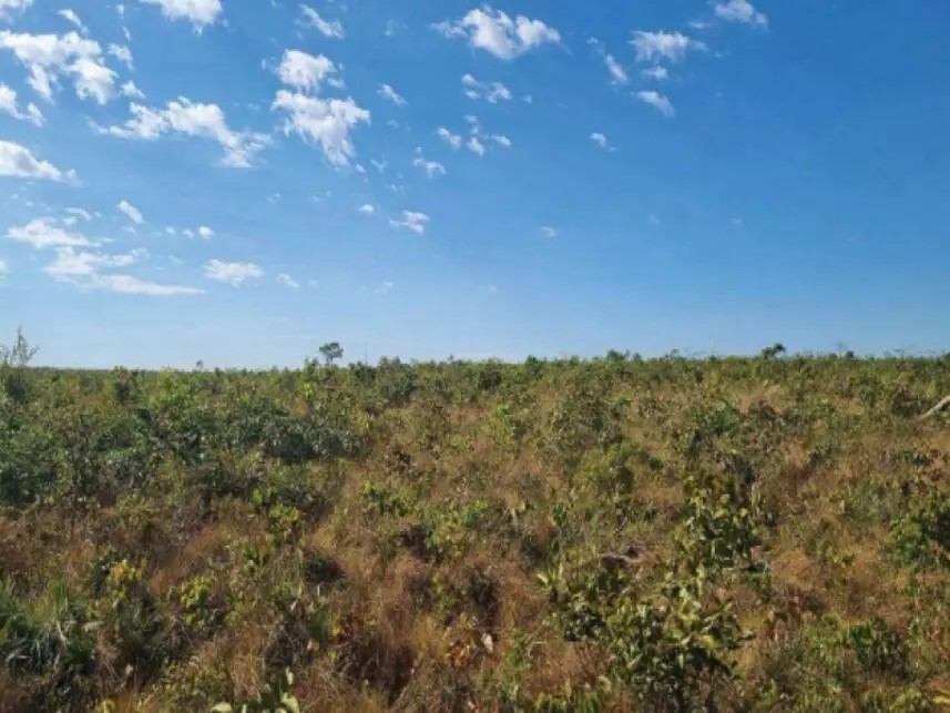 Imagem 7 - Lot° Manduca, Gl-1, s/n - 1ª Etapa, 09, LOTE 09, PARTES DOS LOTES 07 - Zona Rural - Novo Acordo / TO