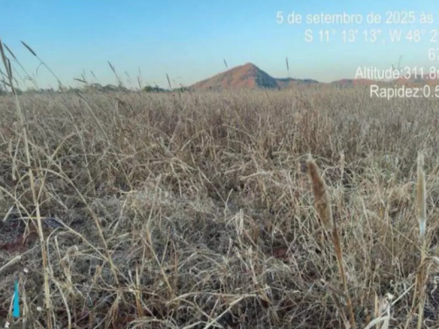 Imagem 2 - Lote 32 do Loteamento Margem Direta do Ribeirão Riacho, s/n - Zona Rural - Ipueiras / TO