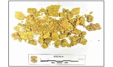 Imagem da oportunidade