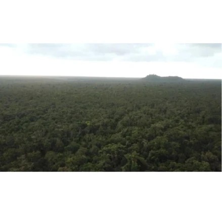 Imagem 2 - PEDRA BRANCA ou INDAYA, neste Município e Comarca de Matinhos