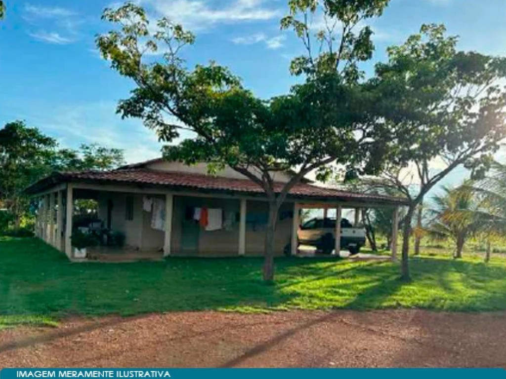 Imagem 3 - Peixe, TO