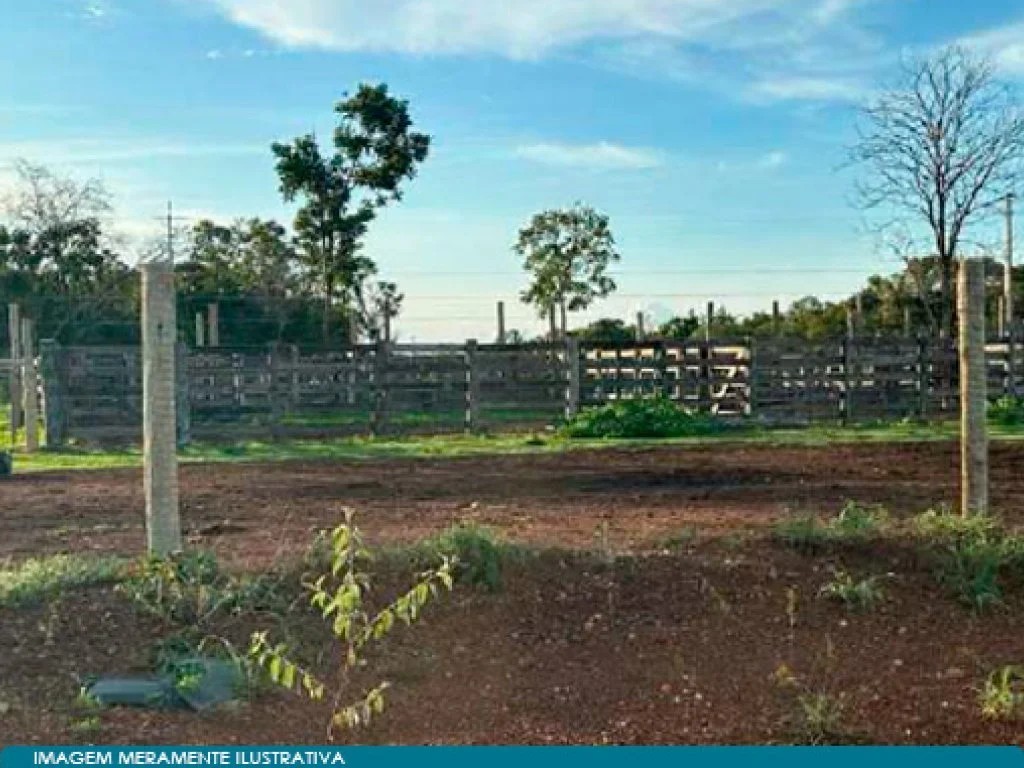 Imagem 4 - Peixe, TO