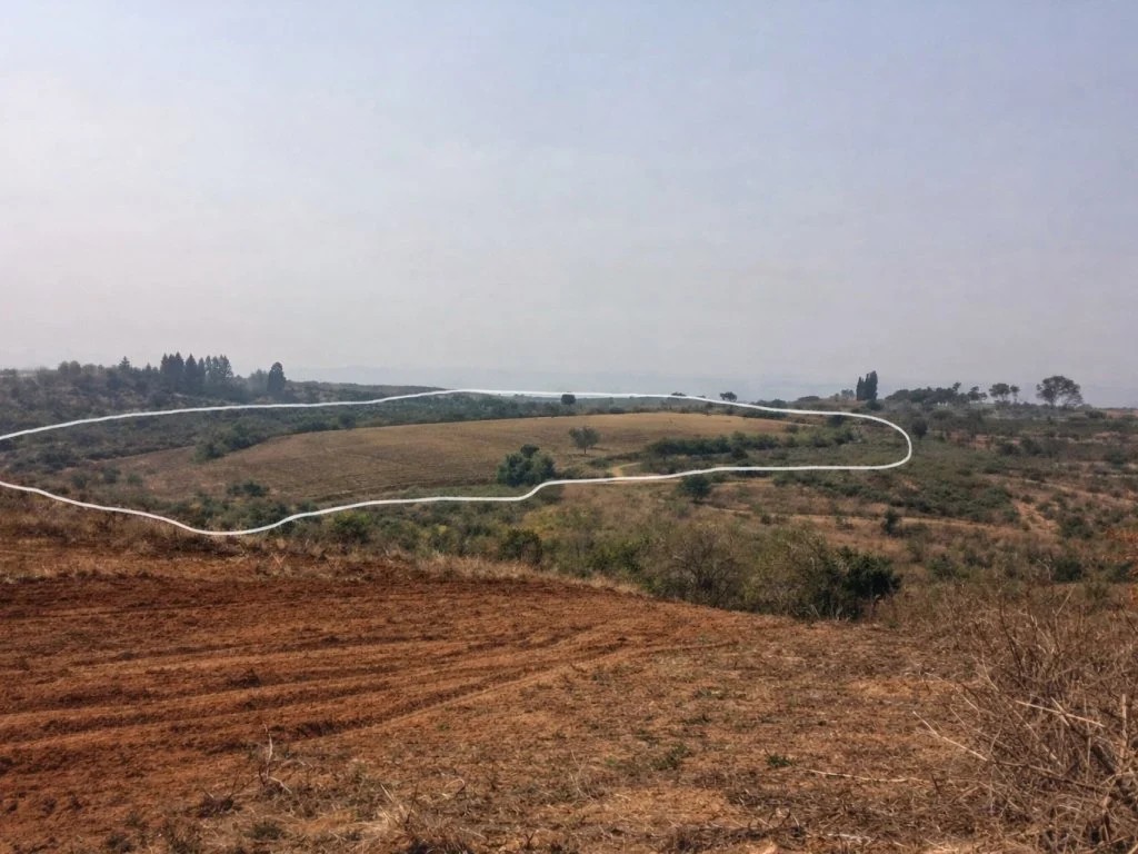 Imagem da oportunidade