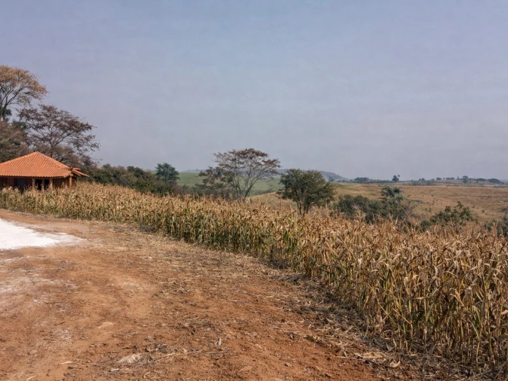 Imagem 3 - Pinhalão, PR