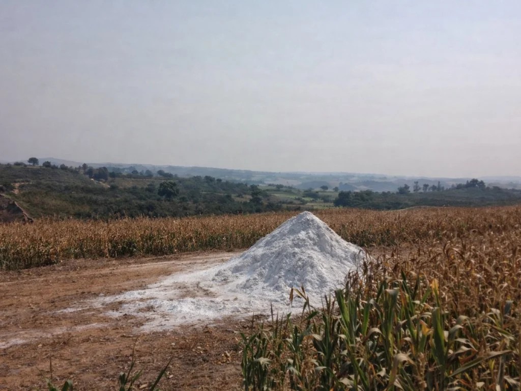 Imagem 4 - Pinhalão, PR