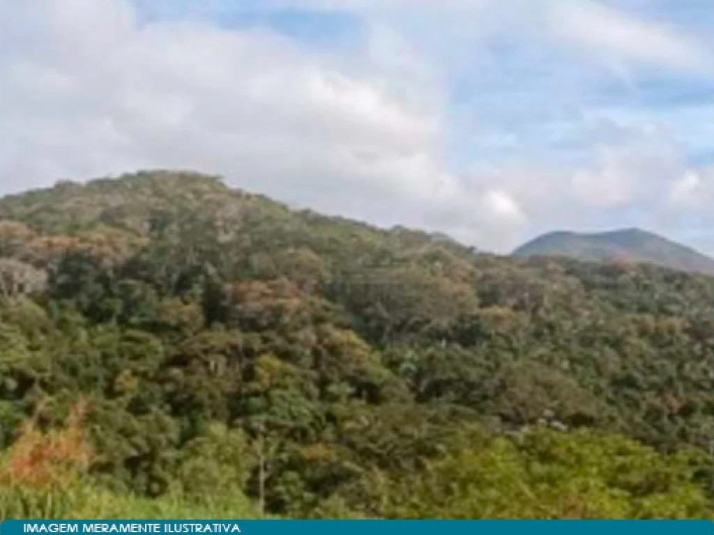 Imagem 2 - Rodovia BR-116, entre os KM 49 e 51, Vale do Paquequer, Teresópolis, RJ