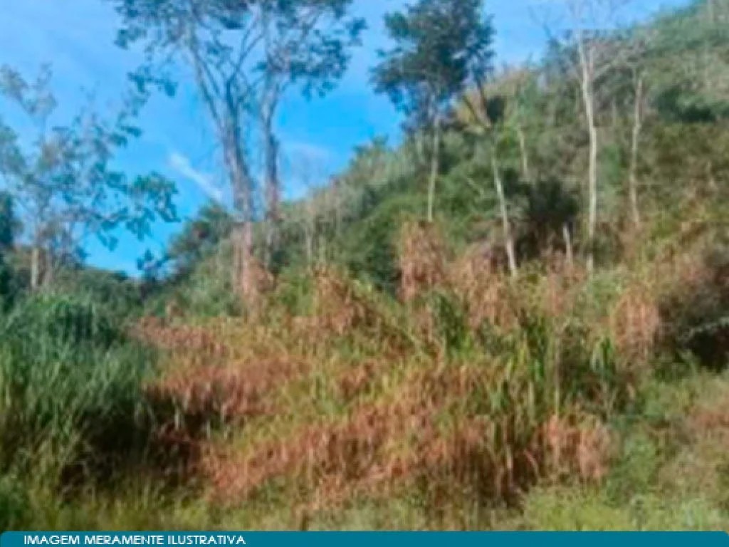 Imagem 10 - Rodovia BR-116, entre os KM 49 e 51, Vale do Paquequer, Teresópolis, RJ