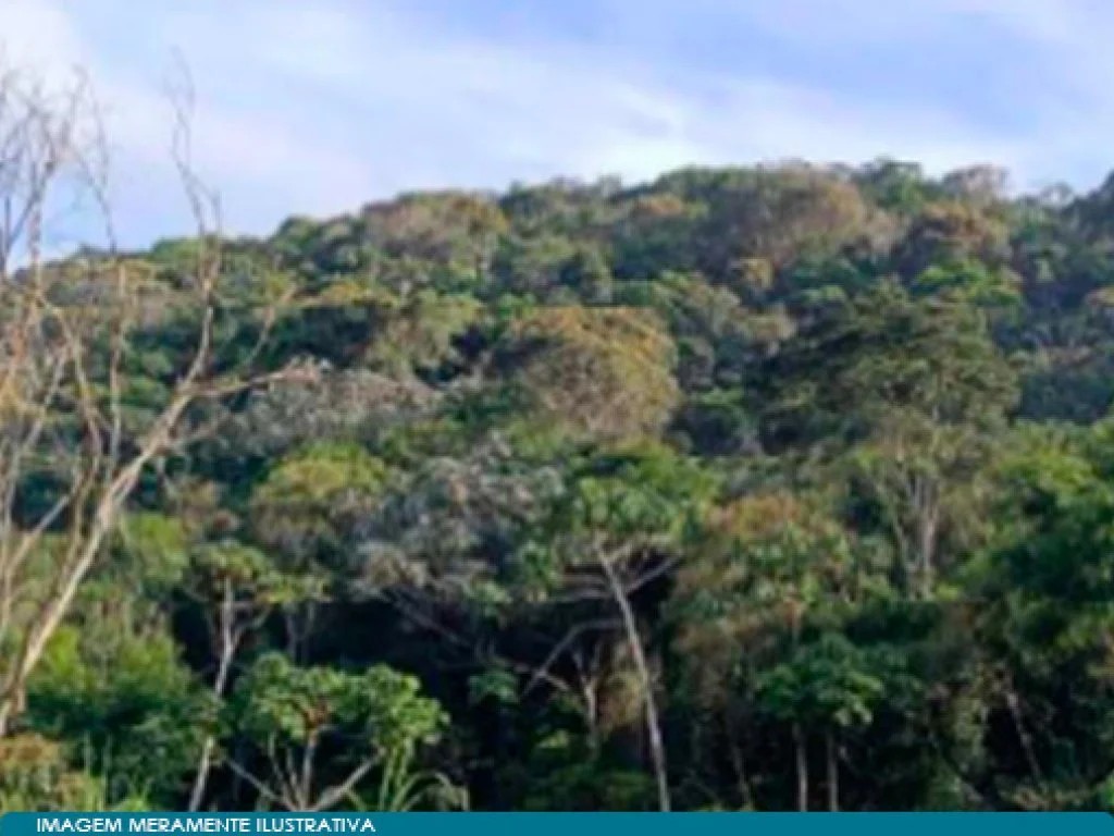 Imagem 12 - Rodovia BR-116, entre os KM 49 e 51, Vale do Paquequer, Teresópolis, RJ